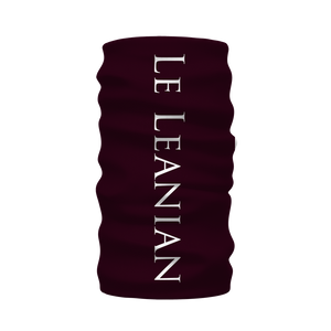 Skull Cathedral- French Gothic Neck Warmer- Morf Scarf in Eggplant Wine | Le Leanian™