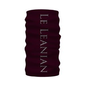 Skull and Honeycomb- French Gothic Neck Warmer- Morf Scarf in Eggplant Wine | Le Leanian™