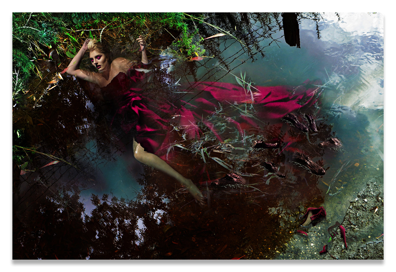 Woman in a Crimson Ballgown Swimming With Alligators. 
