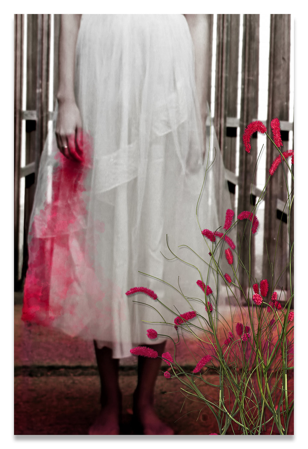 Woman in a Vintage White Lace Dress, cropped at waist, Standing With a Bloody Hand Dripping Down Her Dress in front of a Gate-Metal Print-Aluminum Print
