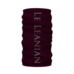 Skull Gilded Honeycomb & Magenta Stars-French Gothic Neck Warmer- Morf Scarf on Muted Eggplant Wine | Le Leanian™